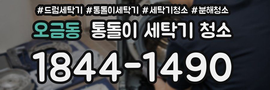 오금동 통돌이 세탁기 청소