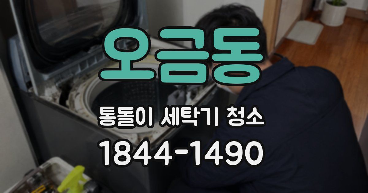 오금동 통돌이 세탁기 청소