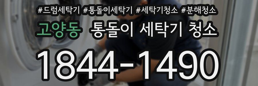고양동 통돌이 세탁기 청소