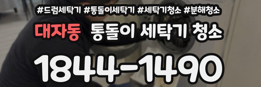 대자동 통돌이 세탁기 청소