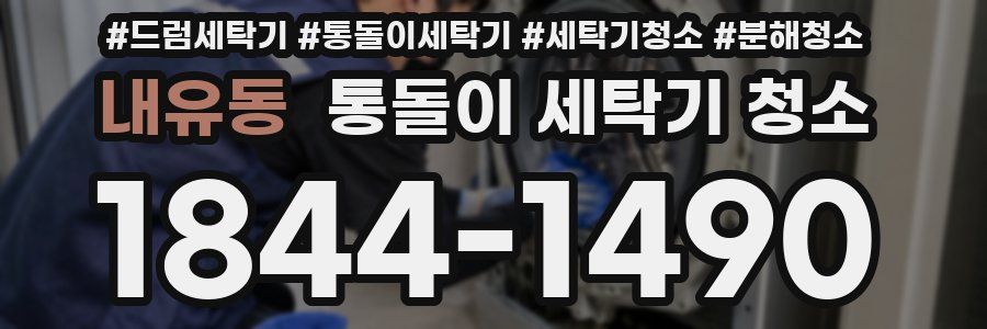 내유동 통돌이 세탁기 청소