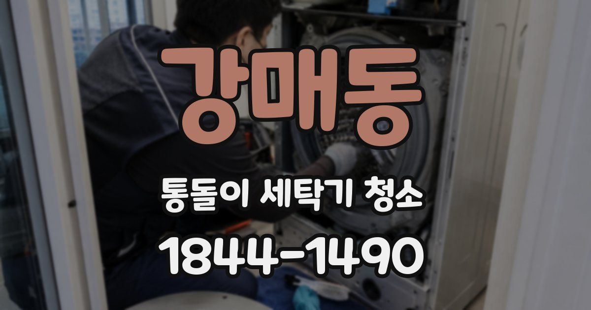 강매동 통돌이 세탁기 청소
