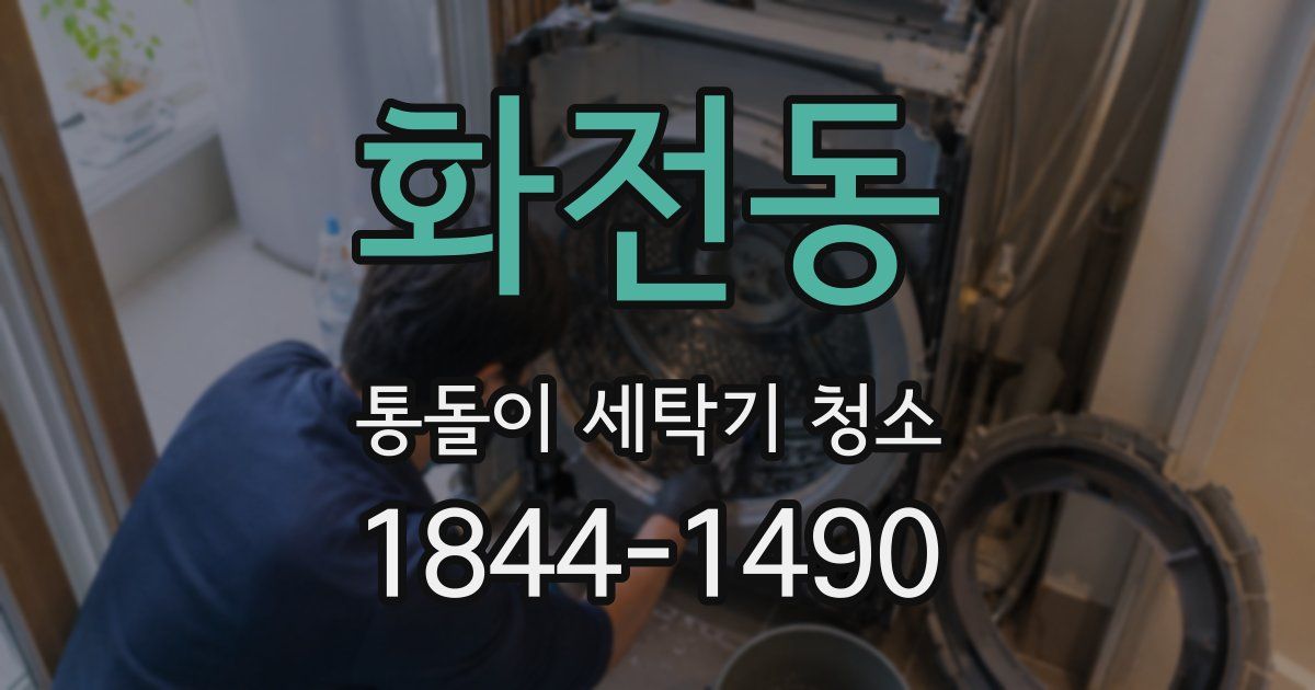 화전동 통돌이 세탁기 청소