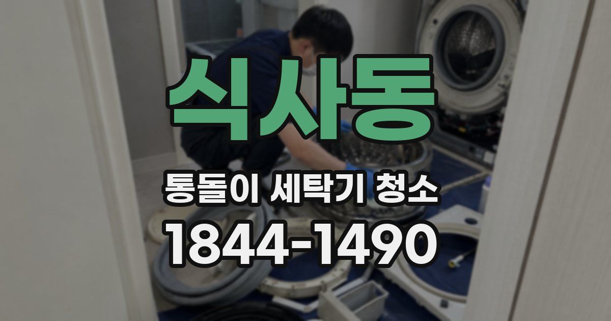 식사동 통돌이 세탁기 청소