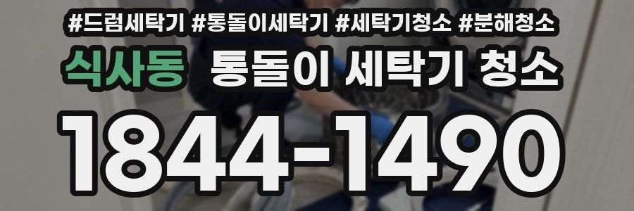 식사동 통돌이 세탁기 청소