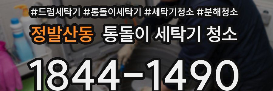 정발산동 통돌이 세탁기 청소
