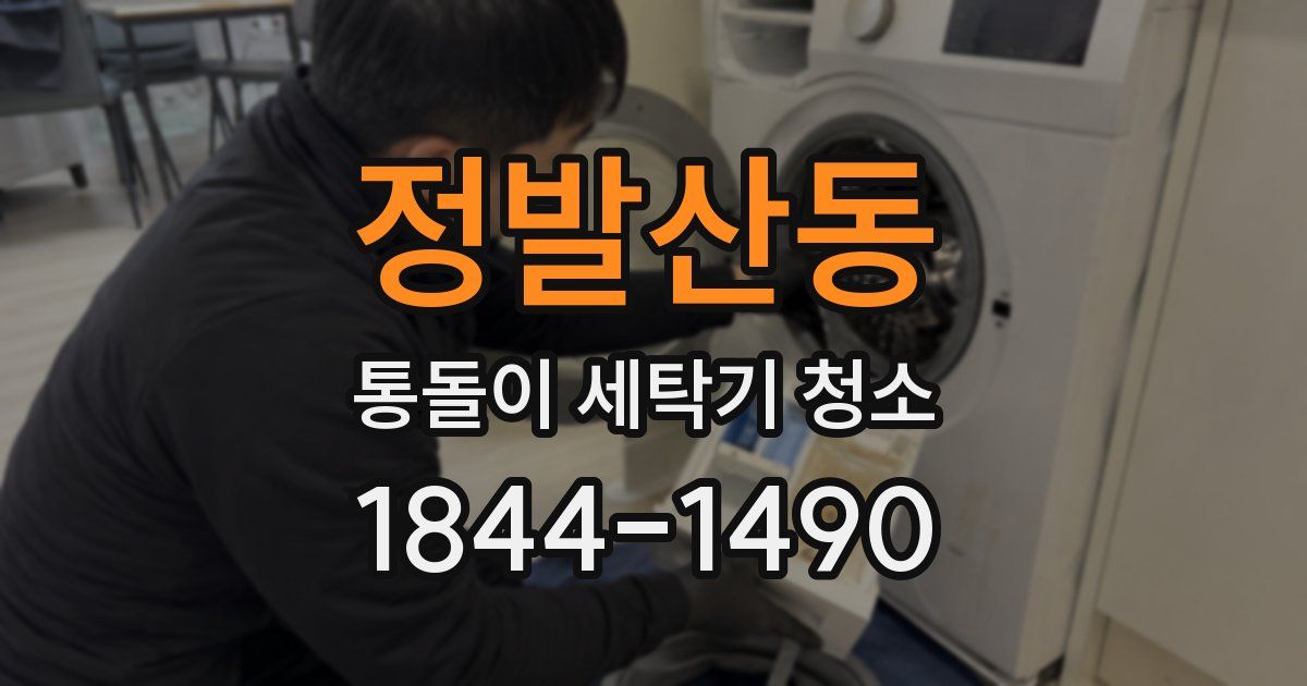 정발산동 통돌이 세탁기 청소