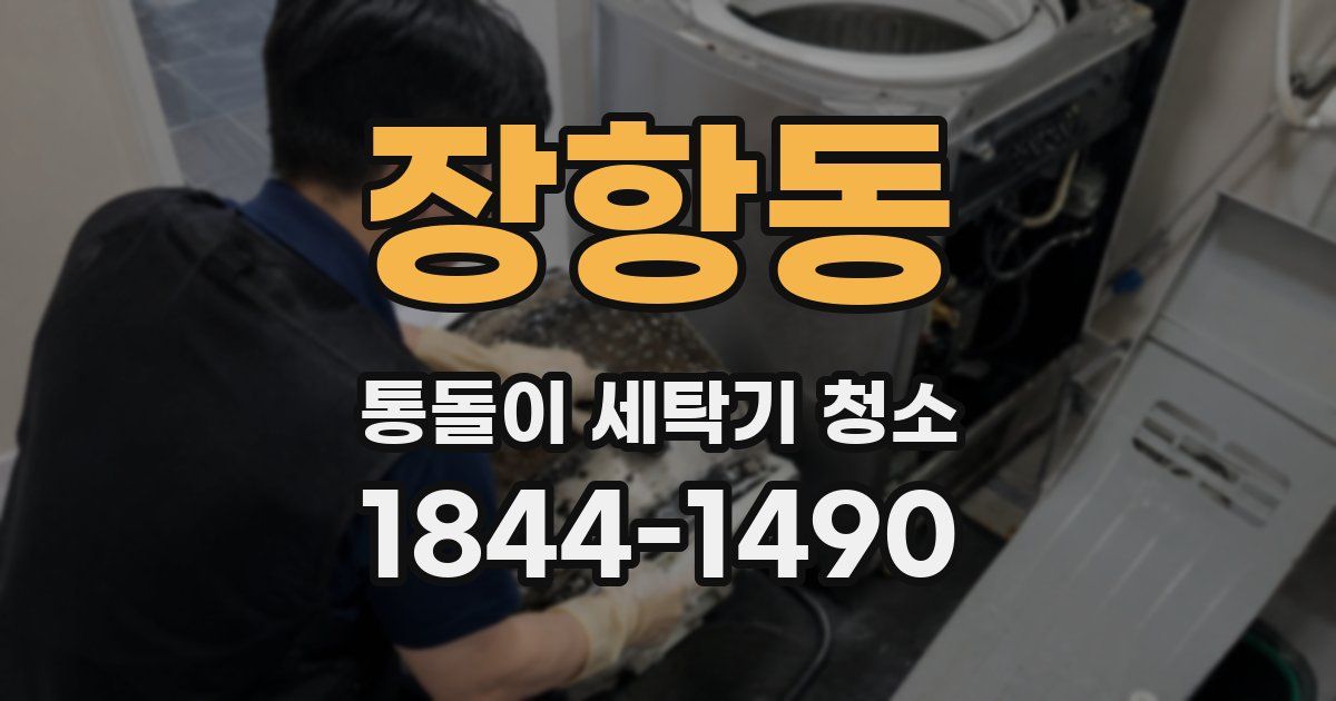 장항동 통돌이 세탁기 청소