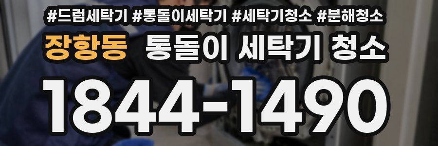 장항동 통돌이 세탁기 청소