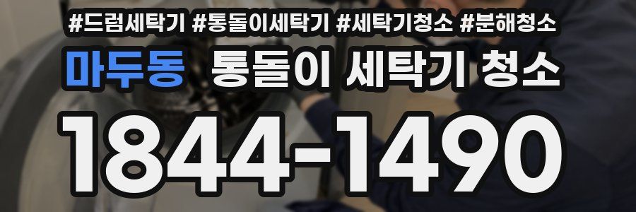 마두동 통돌이 세탁기 청소