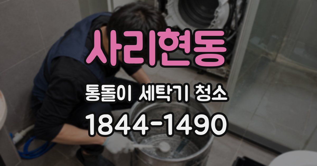 사리현동 통돌이 세탁기 청소
