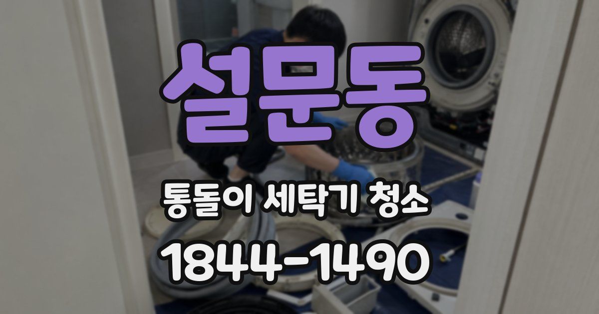 설문동 통돌이 세탁기 청소