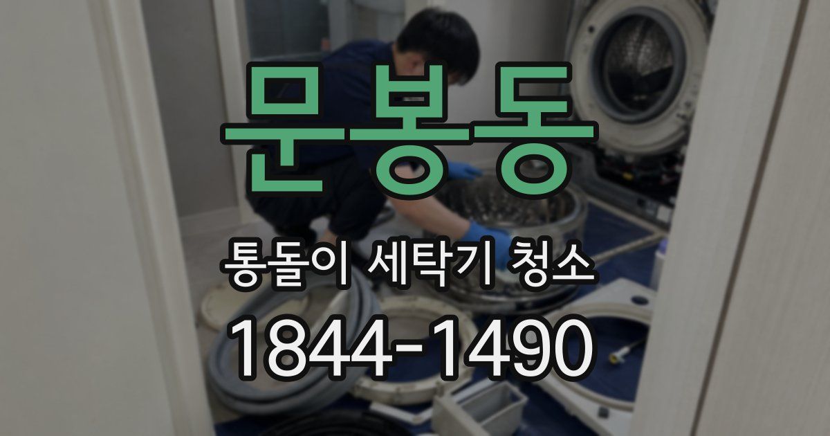 문봉동 통돌이 세탁기 청소