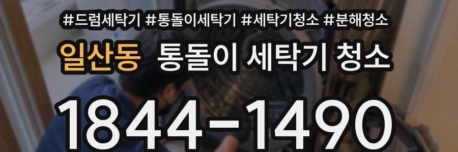 일산동 통돌이 세탁기 청소