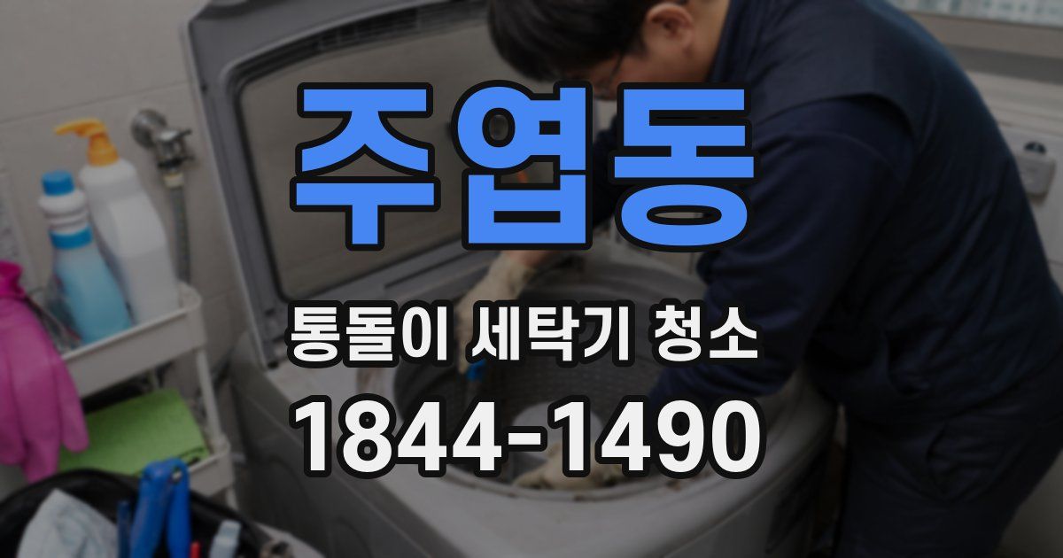 주엽동 통돌이 세탁기 청소