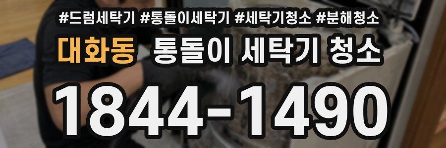 대화동 통돌이 세탁기 청소