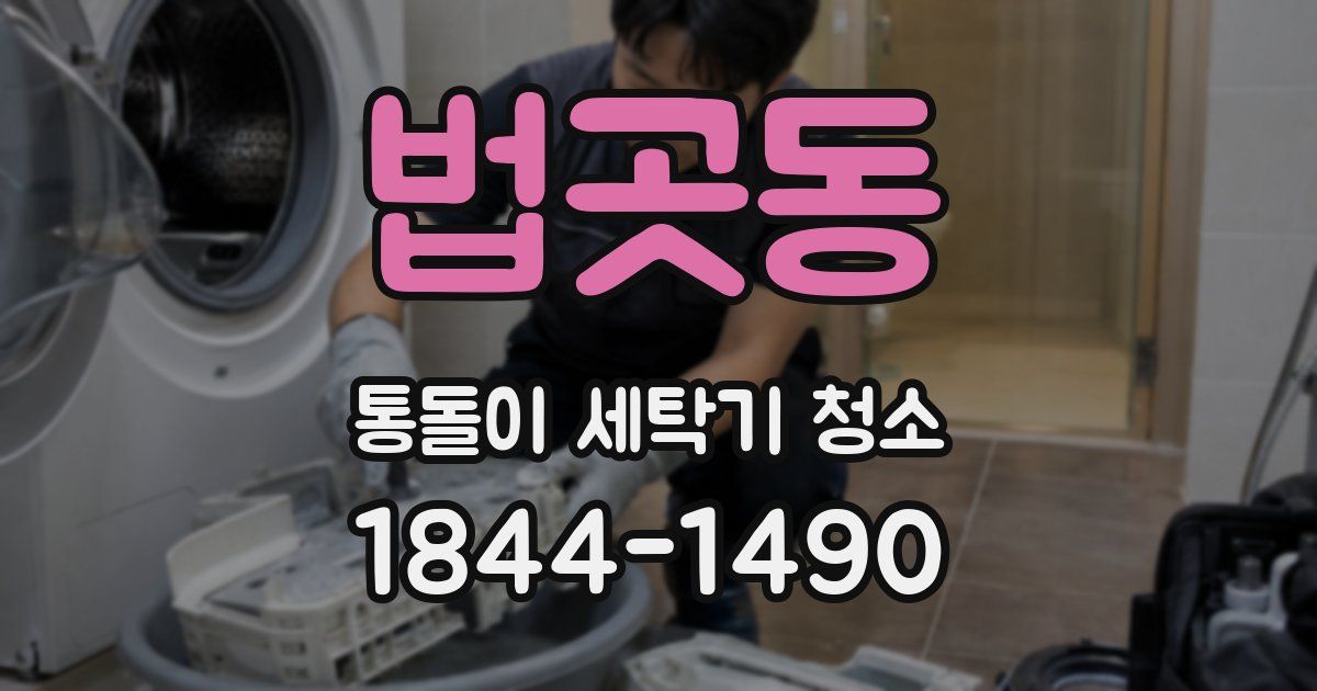 법곳동 통돌이 세탁기 청소