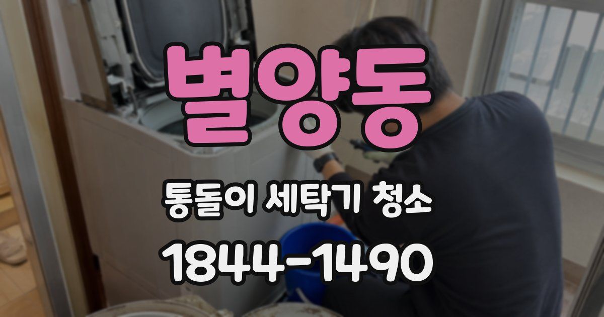 별양동 통돌이 세탁기 청소