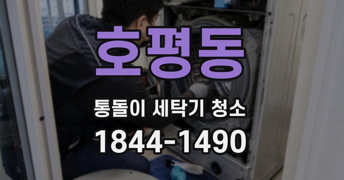 호평동 통돌이 세탁기 청소