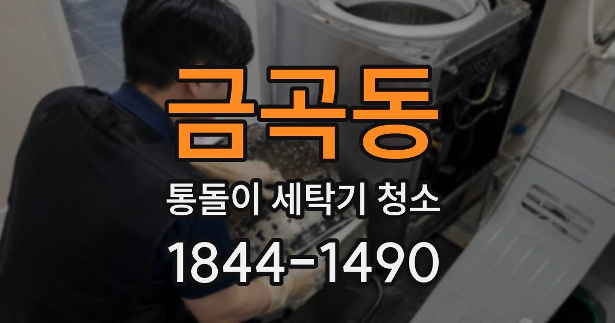 금곡동 통돌이 세탁기 청소