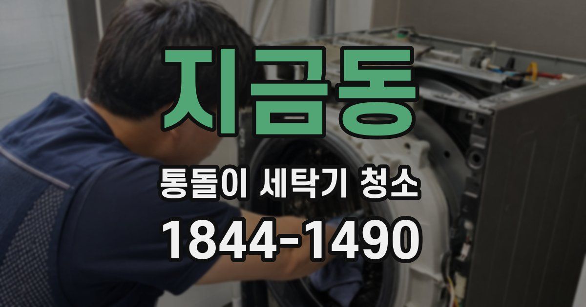 지금동 통돌이 세탁기 청소