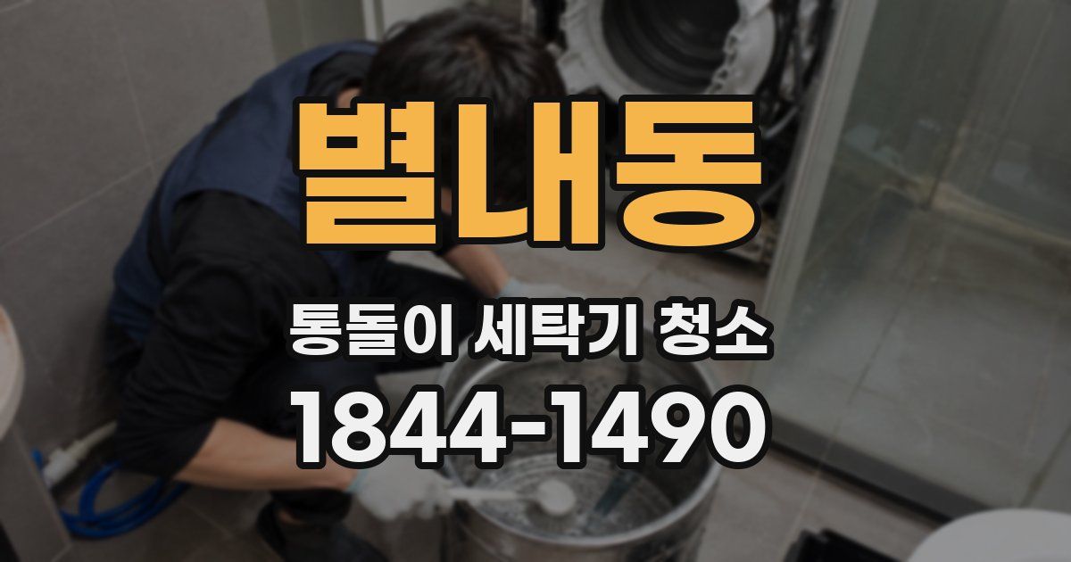 별내동 통돌이 세탁기 청소