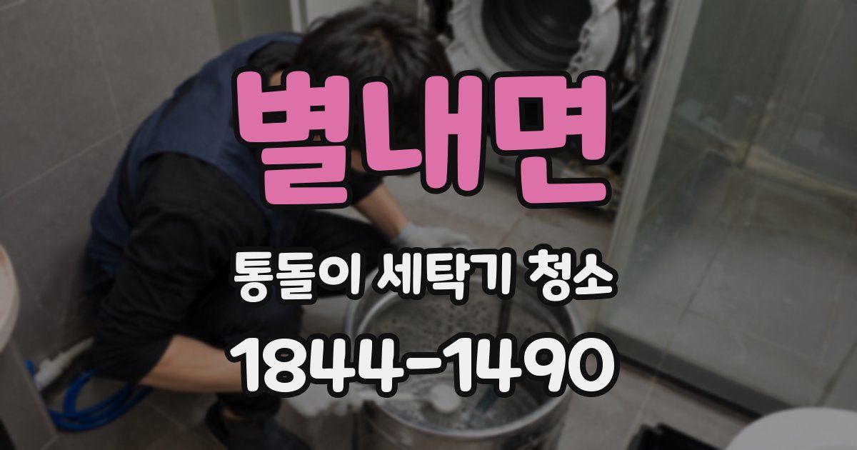 별내면 통돌이 세탁기 청소
