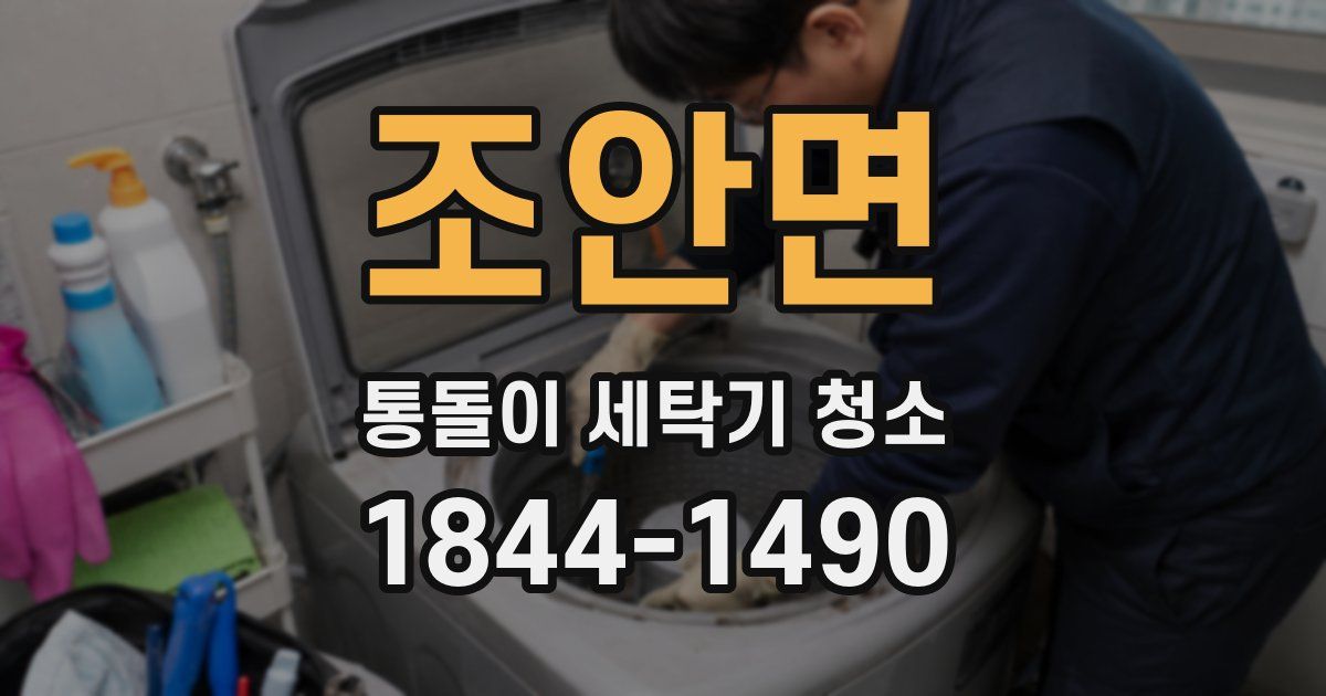 조안면 통돌이 세탁기 청소
