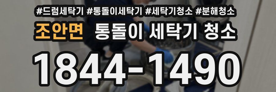 조안면 통돌이 세탁기 청소