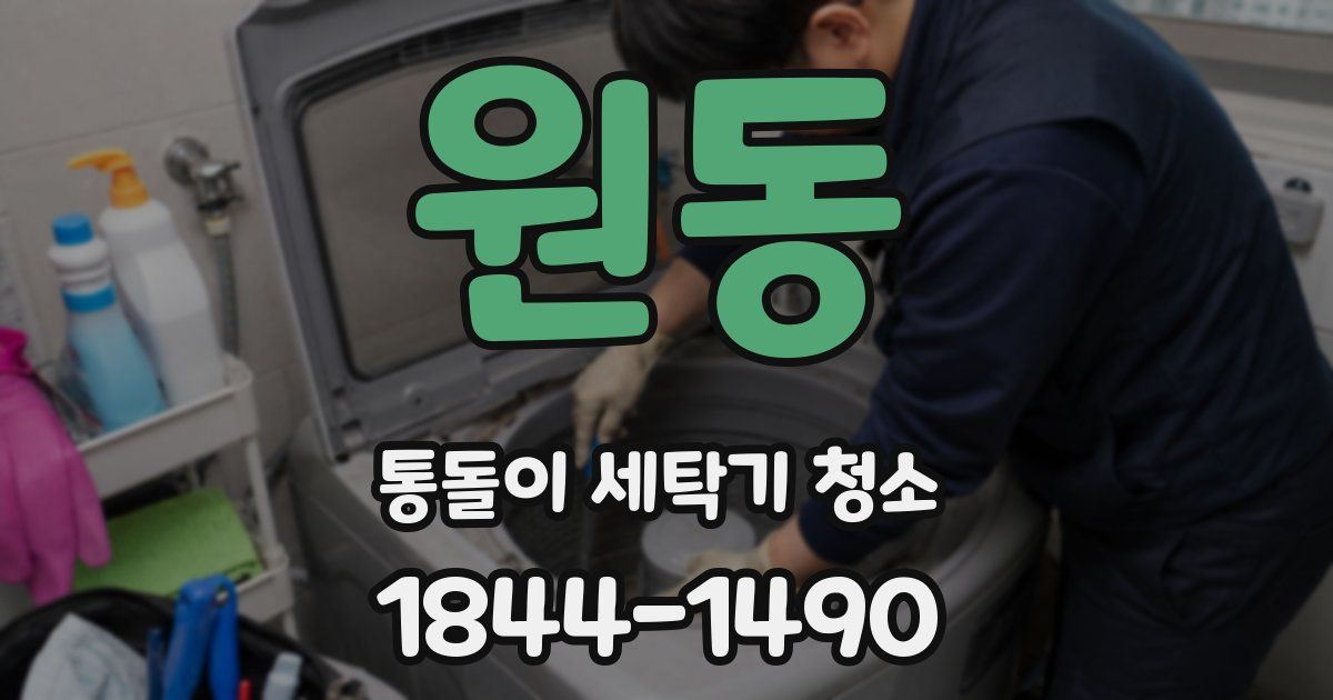 원동 통돌이 세탁기 청소