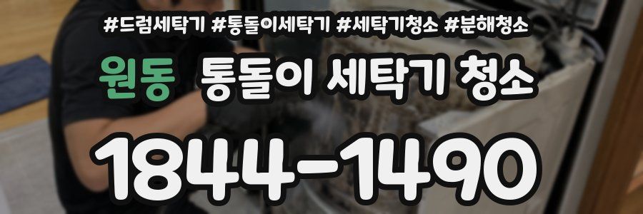 원동 통돌이 세탁기 청소
