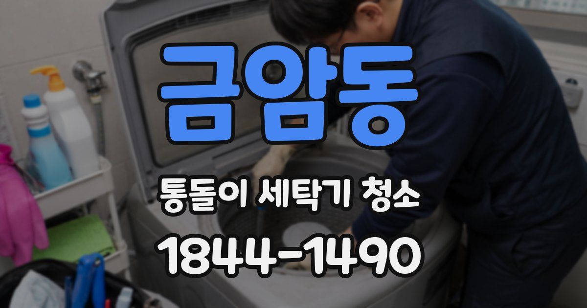금암동 통돌이 세탁기 청소