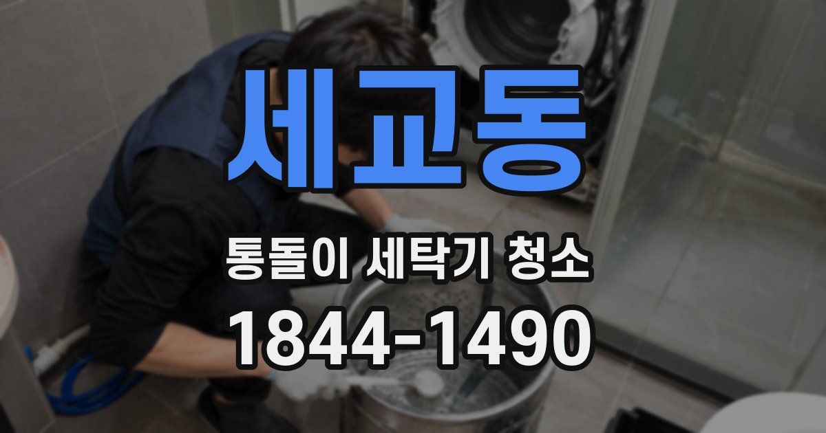 세교동 통돌이 세탁기 청소