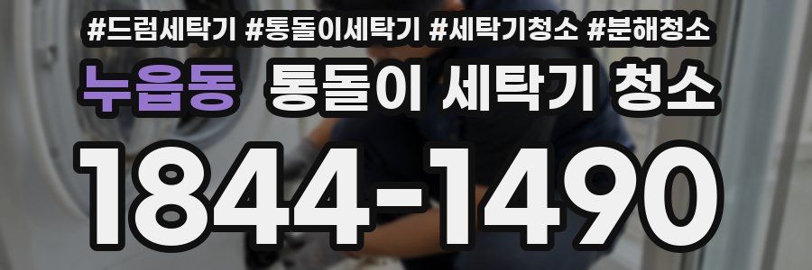 누읍동 통돌이 세탁기 청소