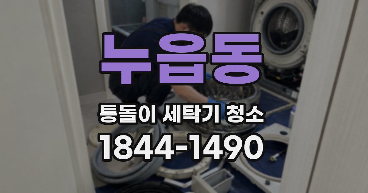 누읍동 통돌이 세탁기 청소