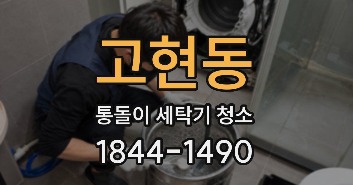 고현동 통돌이 세탁기 청소