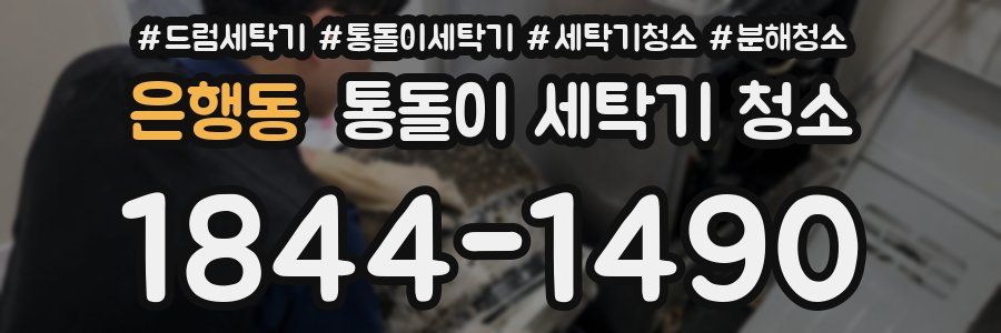 은행동 통돌이 세탁기 청소