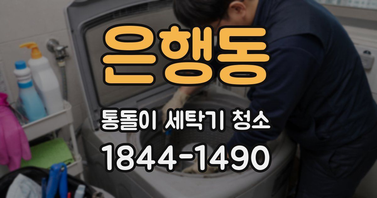 은행동 통돌이 세탁기 청소