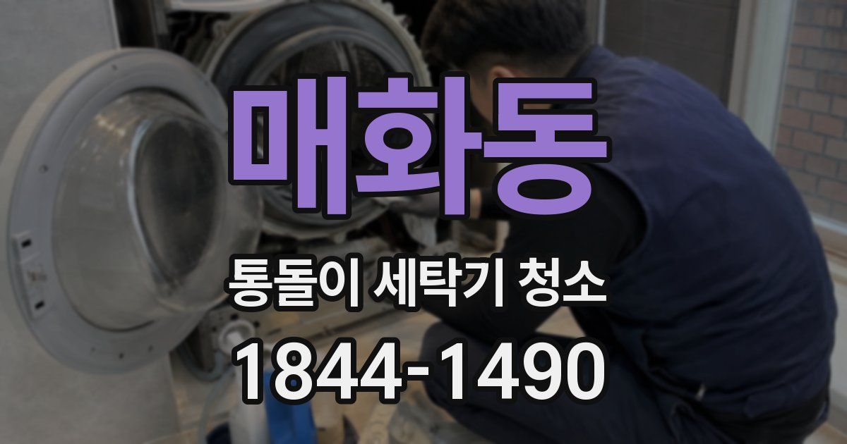 매화동 통돌이 세탁기 청소