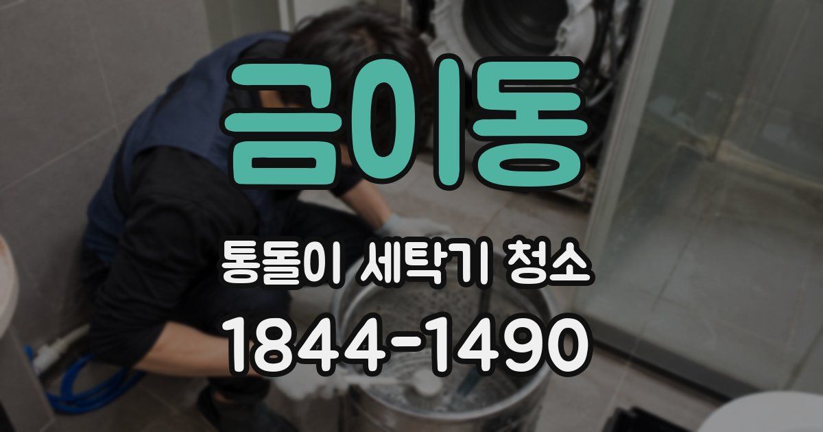 금이동 통돌이 세탁기 청소