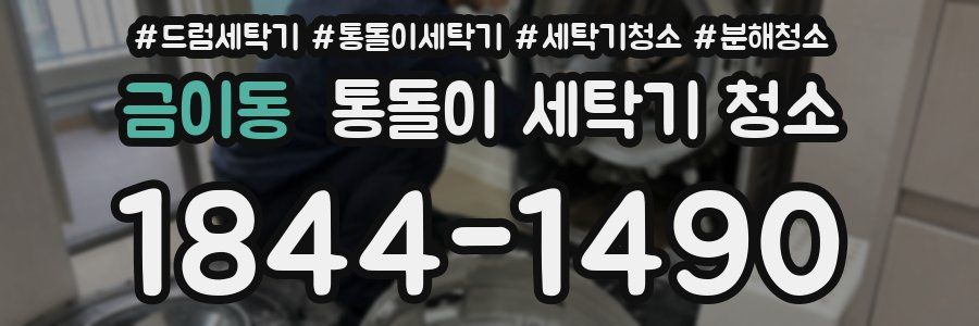 금이동 통돌이 세탁기 청소