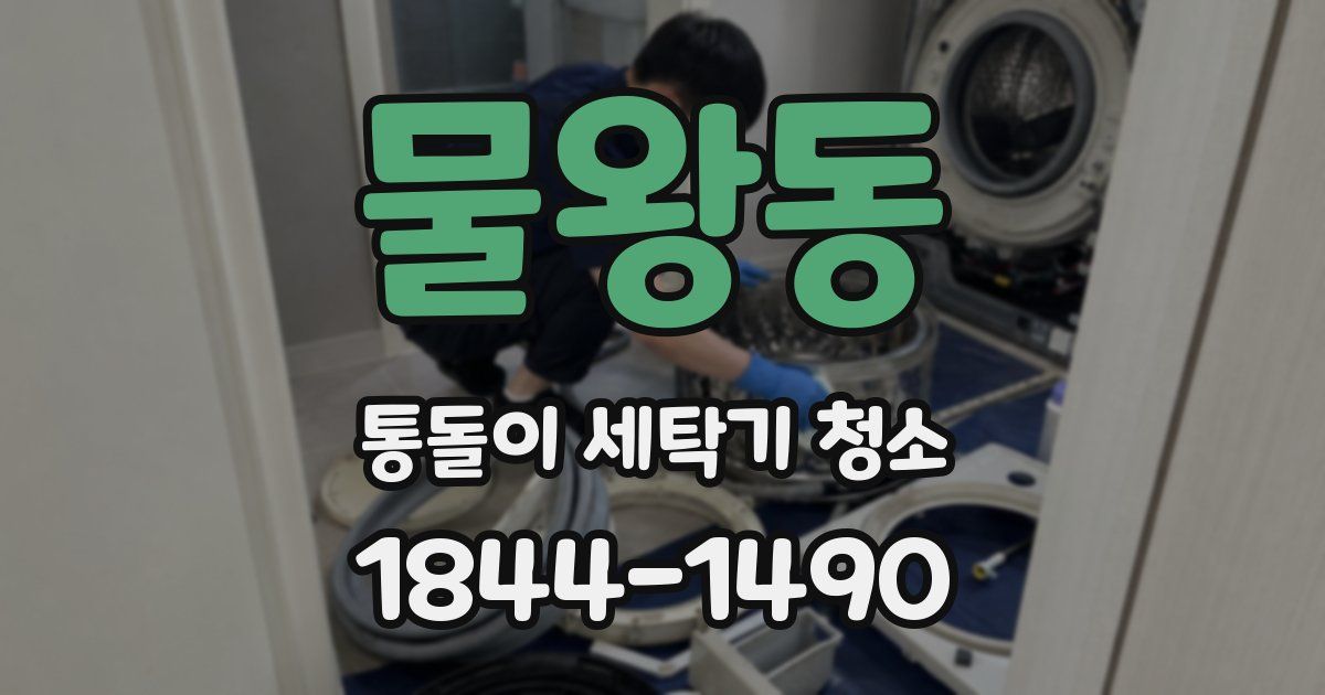 물왕동 통돌이 세탁기 청소