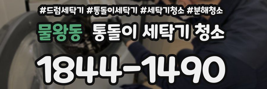 물왕동 통돌이 세탁기 청소