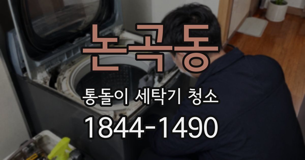 논곡동 통돌이 세탁기 청소