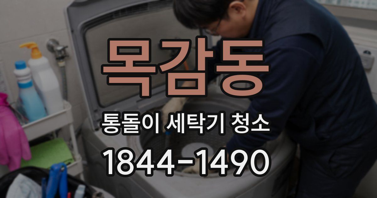 목감동 통돌이 세탁기 청소