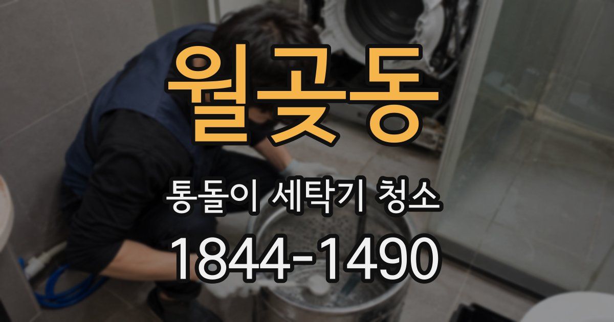 월곶동 통돌이 세탁기 청소