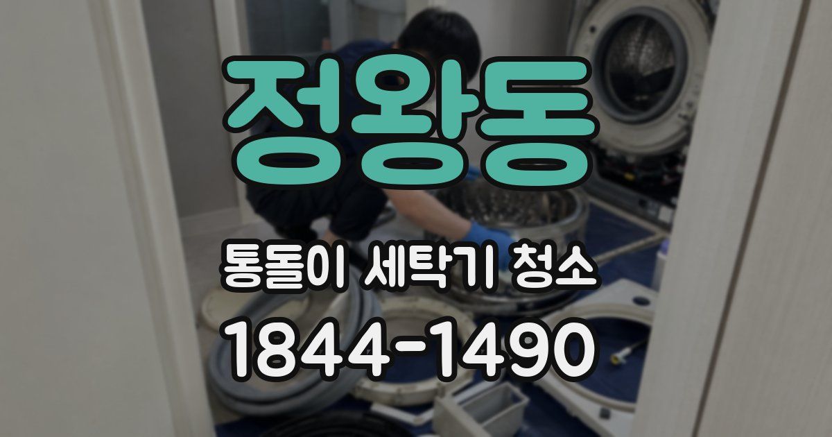 정왕동 통돌이 세탁기 청소