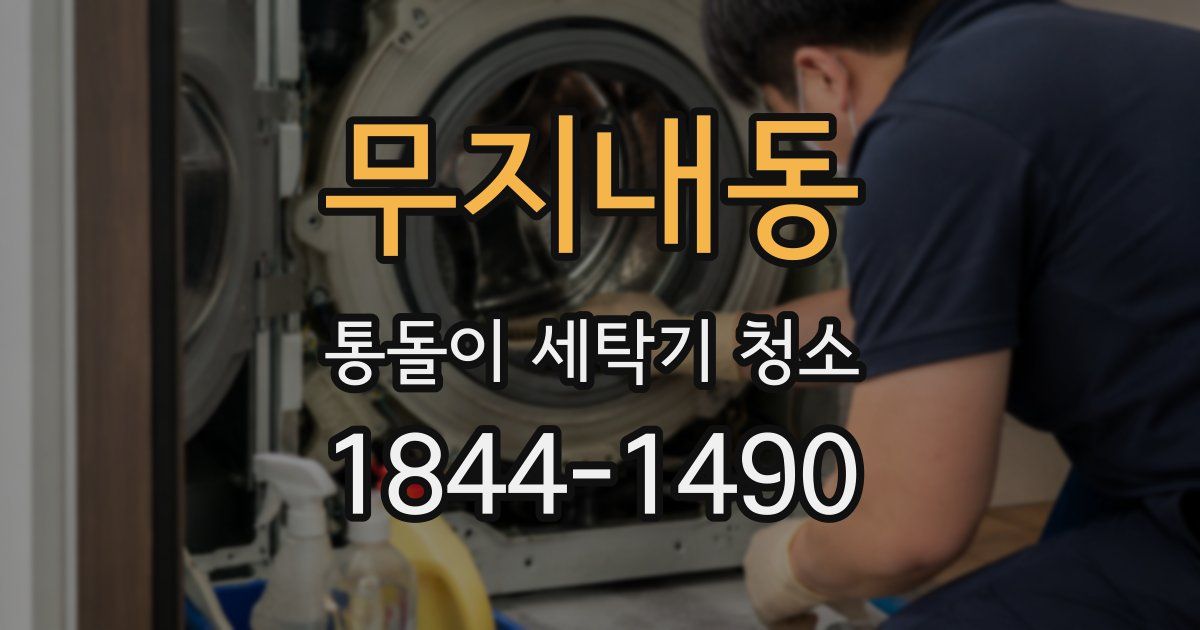 무지내동 통돌이 세탁기 청소