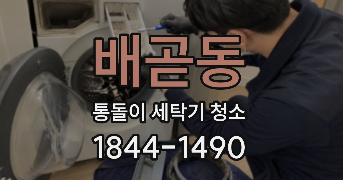 배곧동 통돌이 세탁기 청소