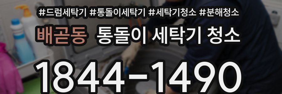배곧동 통돌이 세탁기 청소